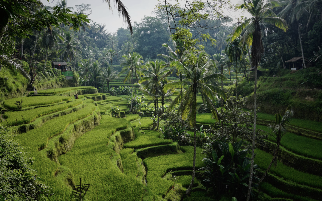 Explorez Bali en 14 Jours : Le Circuit Ultime pour Découvrir l’Île des Dieux