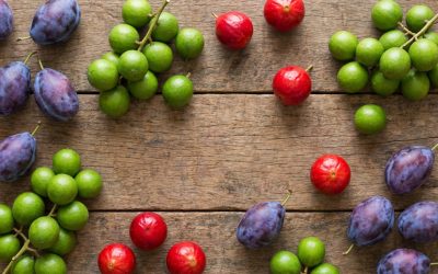 Tout savoir sur la quetsche et les fruits en Q : Guide gourmand et astuces Scrabble