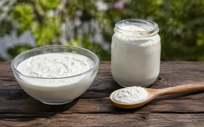 Par quoi remplacer le skyr : fromage blanc, yaourt et recettes