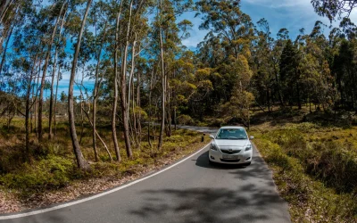 Road trip depuis Paris : 5 escapades à moins de 3 heures pour un week-end réussi