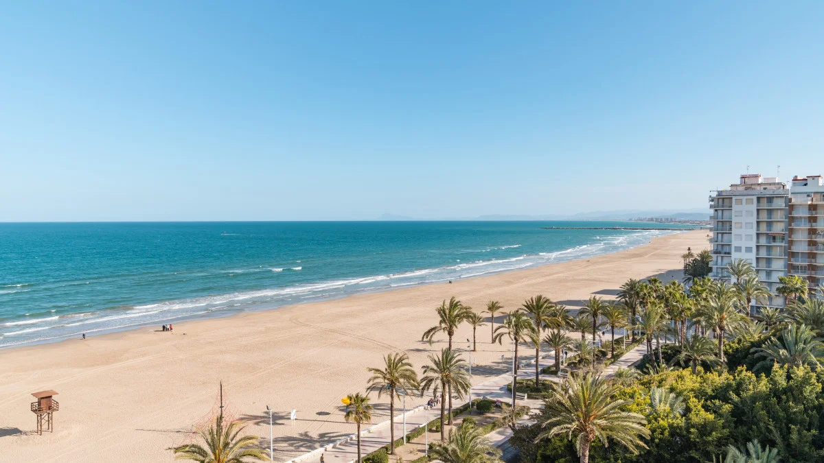 Plage de sable bordée de palmiers et d'une promenade, avec des immeubles face à l'océan